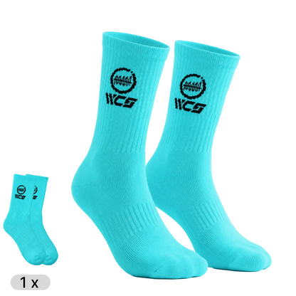 WorldChangerSocks