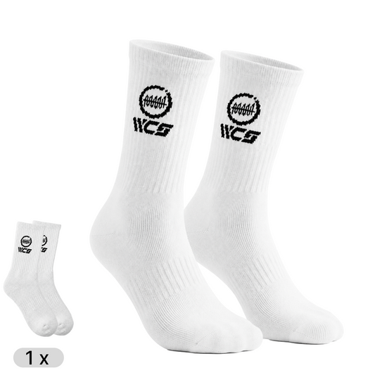 WorldChangerSocks